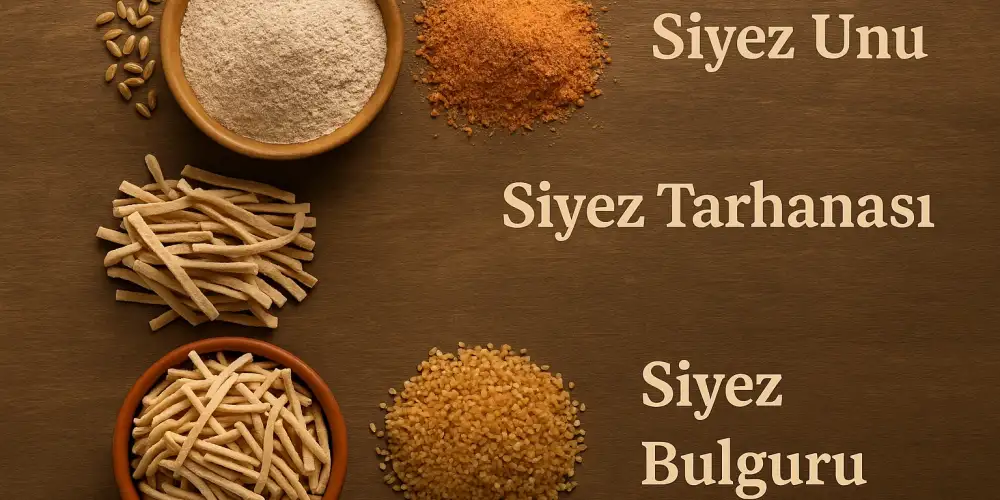 Siyez buğdayı başakları ve taneleri